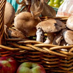 Basket of Mushrooms