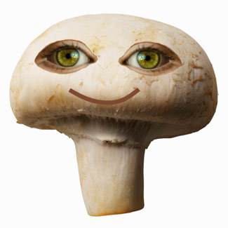 Contact Mushroom