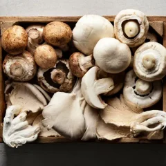 Plate of Mushrooms