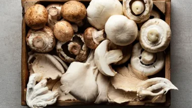 Plate of Mushrooms