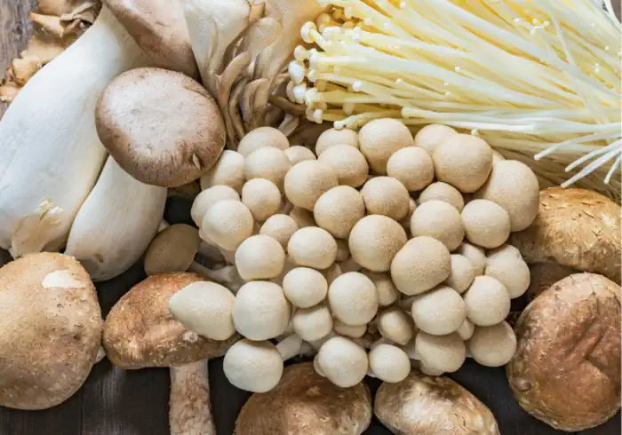 Variety of Mushroom Types